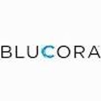 Blucora Inc