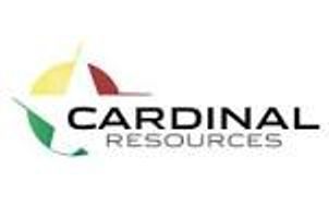 Cardinal Resources Limited