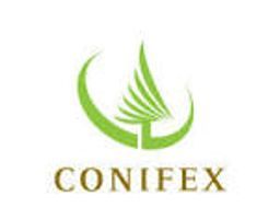 Conifex Timber Inc (CFF-T) — Stockchase