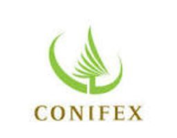 Conifex Timber Inc