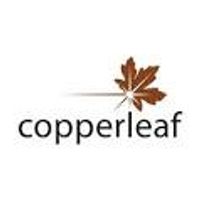 Copperleaf Technologies (CPLF-T) — Stockchase