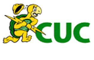 Caribbean Utilities Company (CUP.U-T) — Stockchase