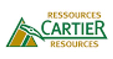 cartier resources stock