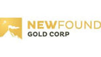 New Found Gold (NFG-X) — Stockchase