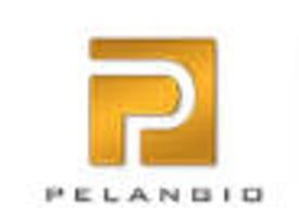 Pelangio Exploration Ltd